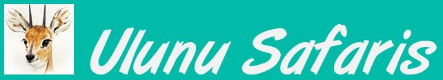 Ulunu Safaris